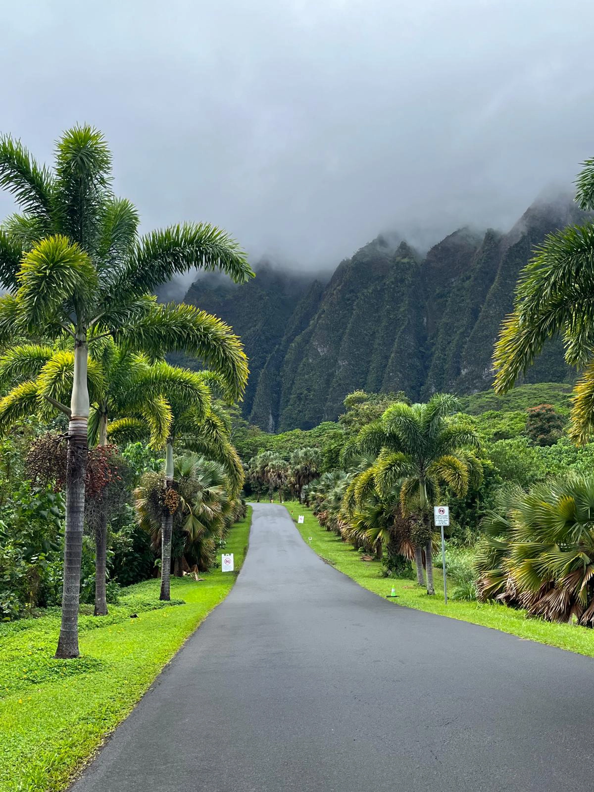 Inspiración de viajes